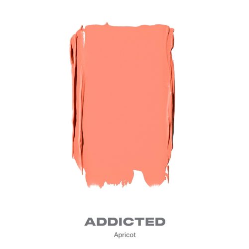 Morphe 2024 Huephoric Shades Addicted