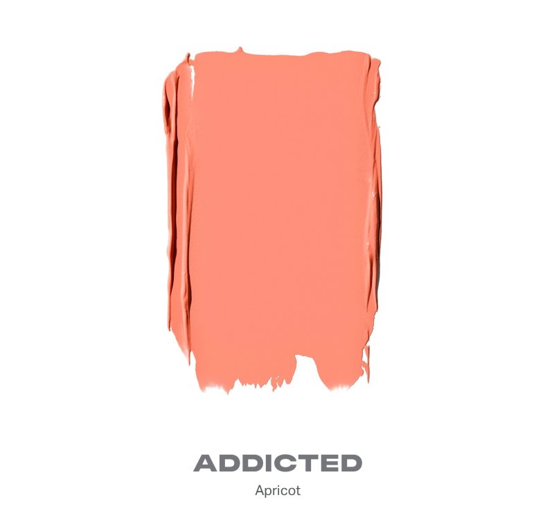 Morphe 2024 Huephoric Shades Addicted