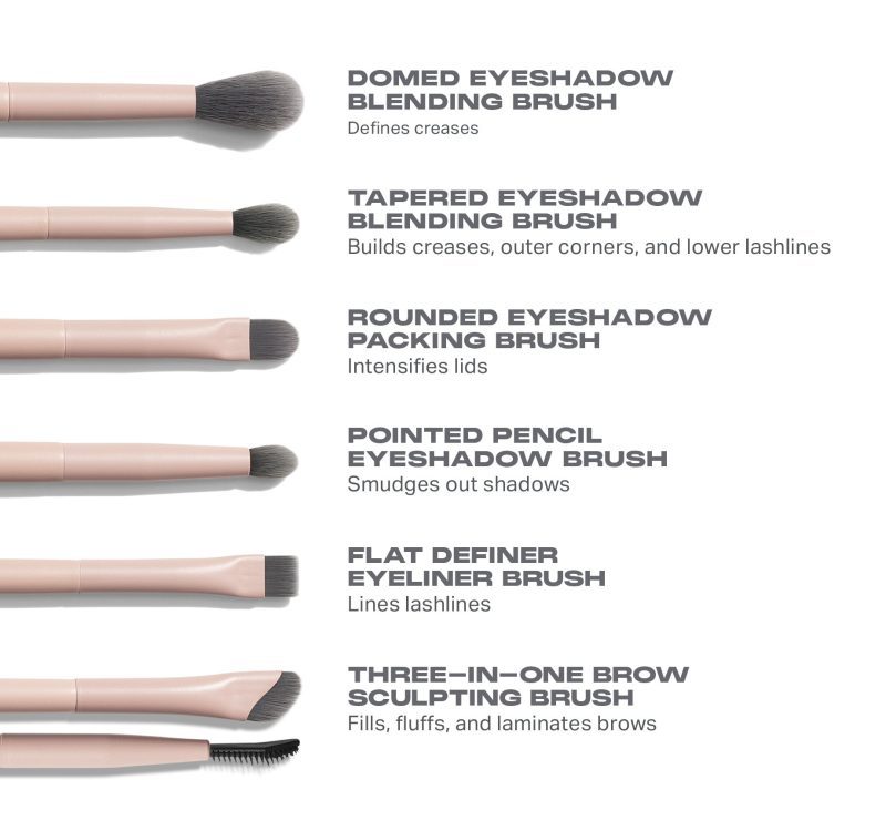 Morphe 2024 Shaping Essentials Brush Infographics Designed Asset Eye