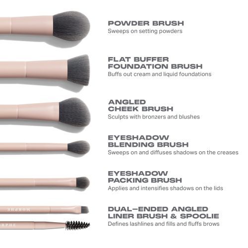 Morphe 2024 Shaping Essentials Brush Infographics Designed Asset Travel