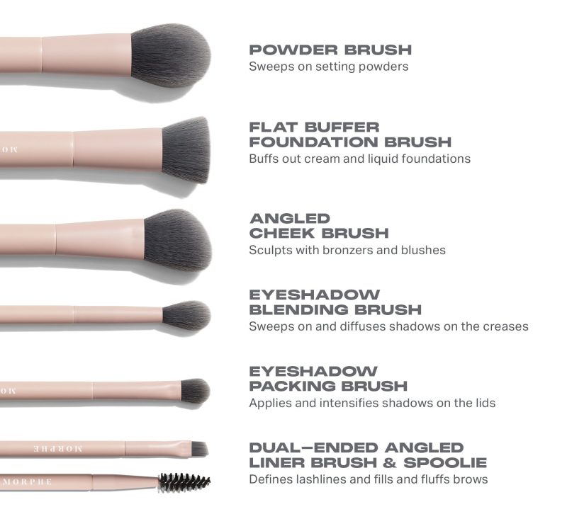 Morphe 2024 Shaping Essentials Brush Infographics Designed Asset Travel